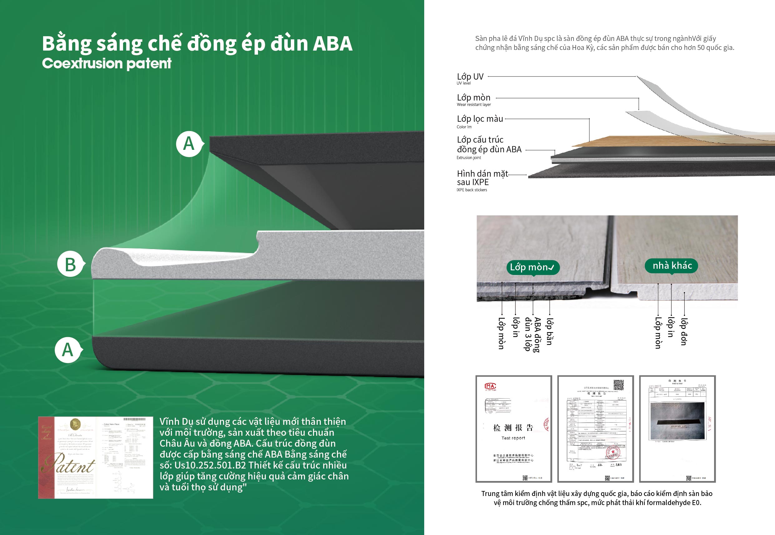 giới thiệu về công ty TNHH sàn nhà Vĩnh Dụ Việt Nam